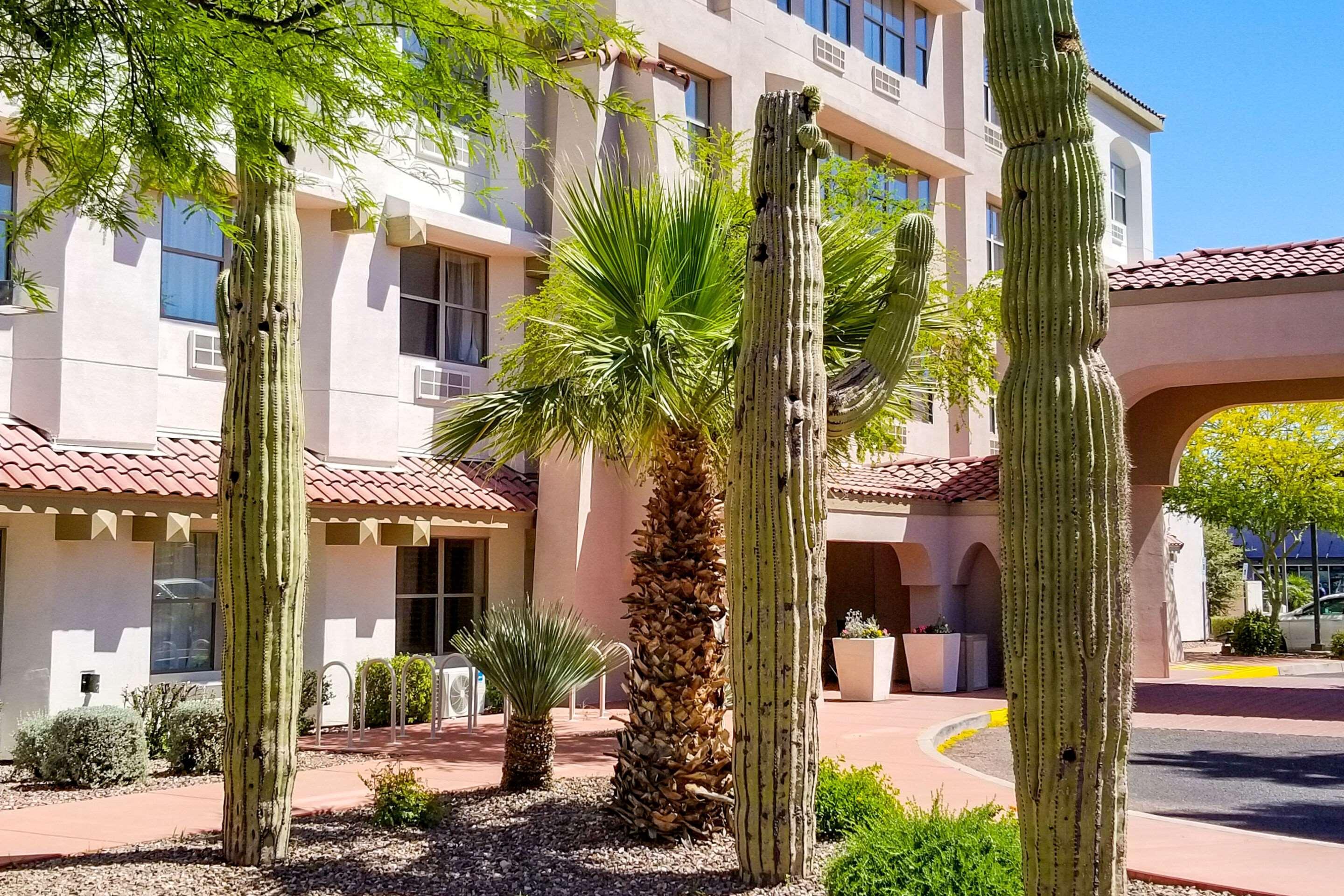 Comfort Inn & Suites Tempe Phoenix Sky Harbor Airport Экстерьер фото